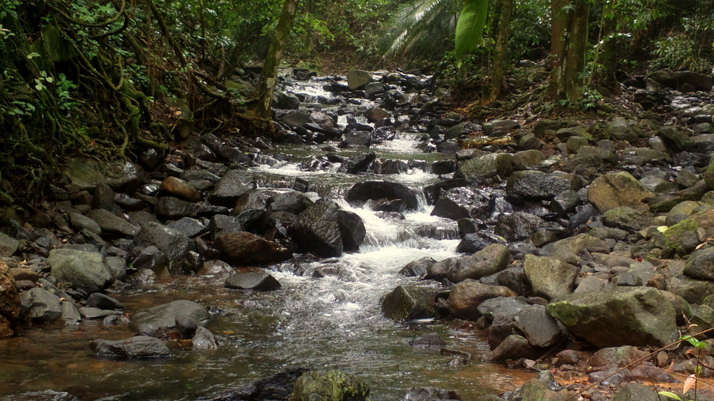 Netravali Wildlife Sanctuary
