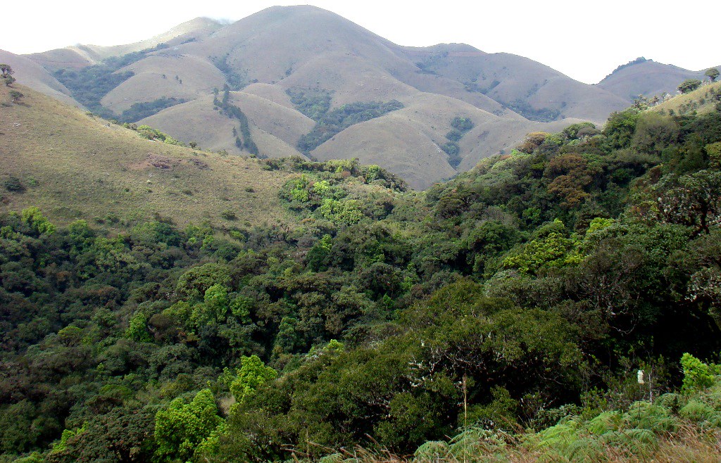   Mukurthi National Park