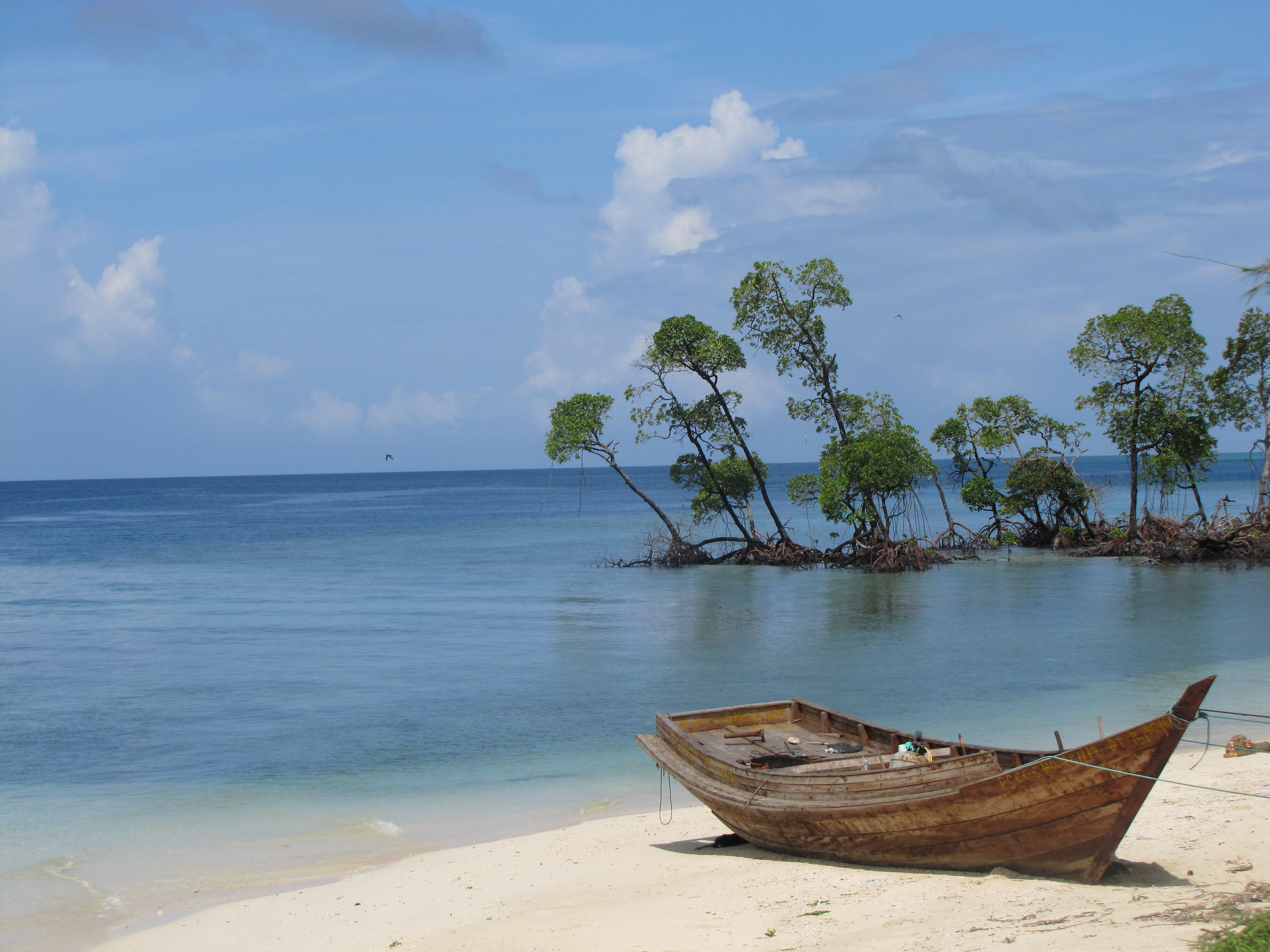 Andaman and Nicobar Islands -  