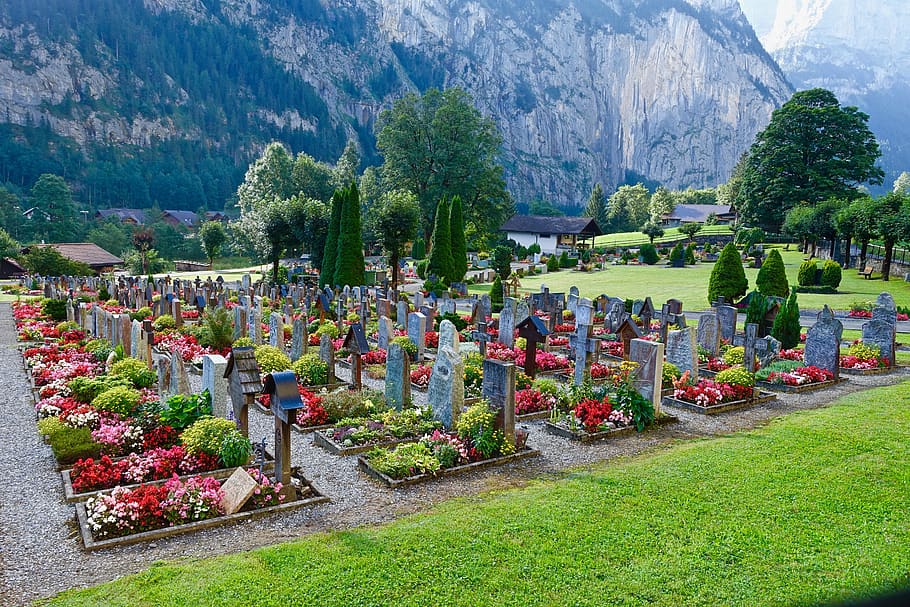 Indira Gandhi Memorial Tulip Garden 