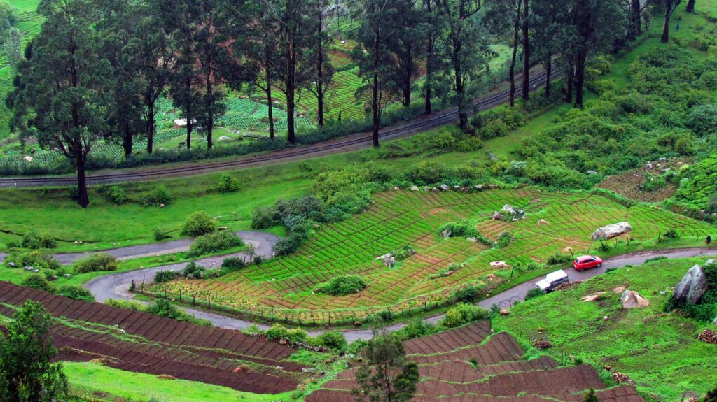 Ooty 