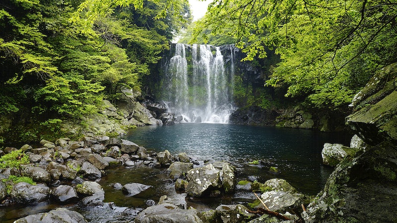 Atukkad Waterfalls 