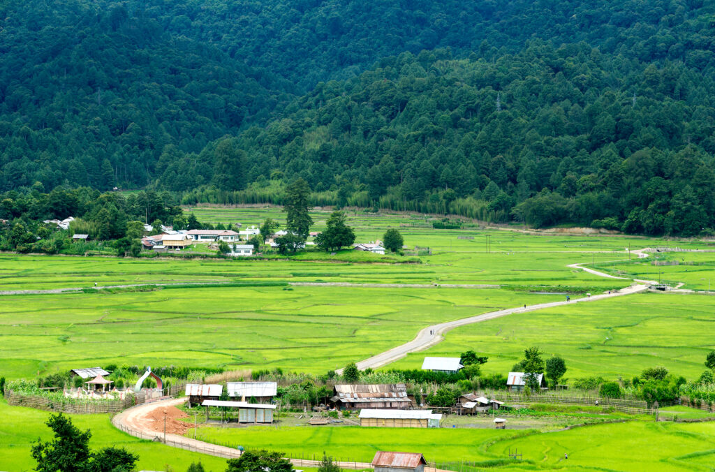 Ziro Valley 