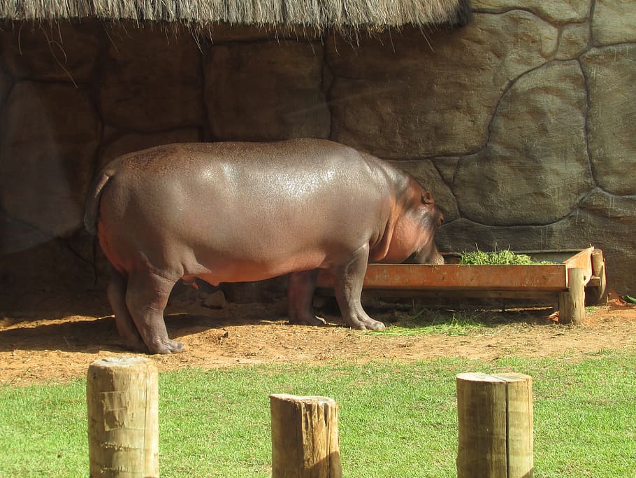 Mumbai Zoo 