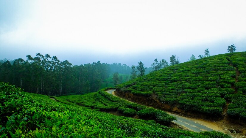 kolkata to darjeeling