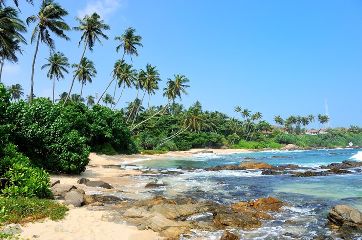  Mahabalipuram Beach