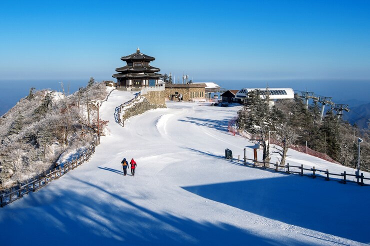 shimla to manali